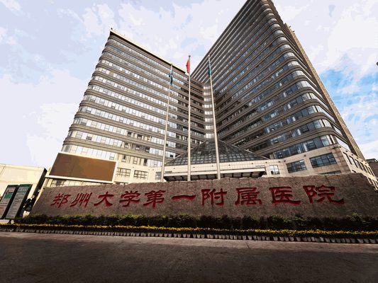 The First Affiliated Hospital of Zhengzhou University, Zhengdong New District Hospital Construction Project